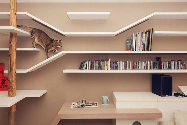 5 proposte per creare la casa ideale per il tuo gatto - Sanicat