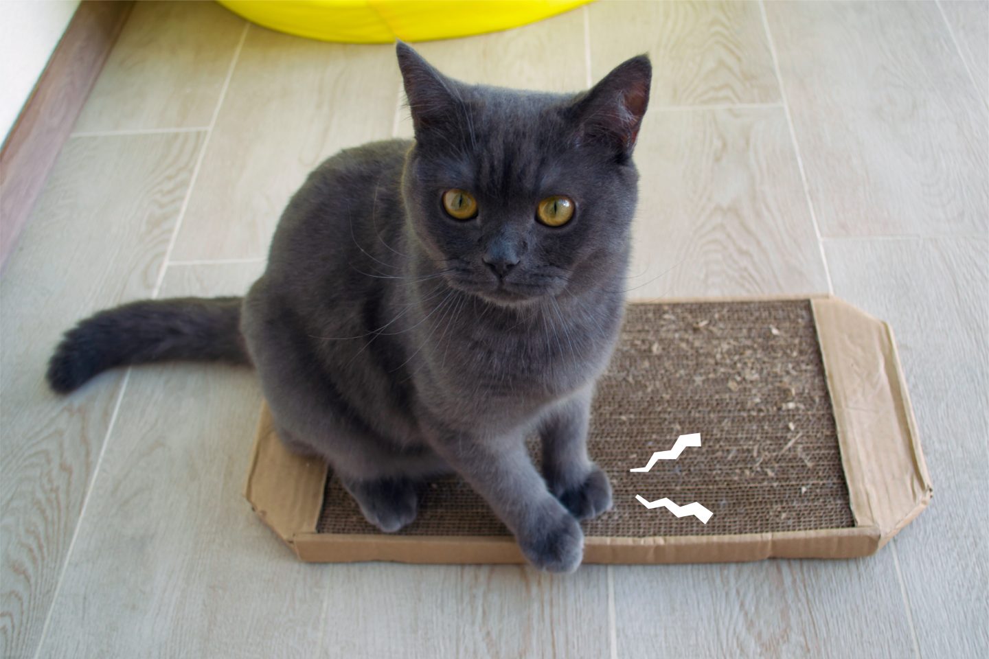 Ricarica Tiragraffi Per Gatti In Cartone Ondulato - 42.6x31.5x3.5 Cm, Per Lettini Gatto, Graffiatoio Sostitutivo - Foto 2